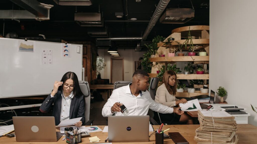 top 5 agencies για local seo ελλάδα - Netculture SEO