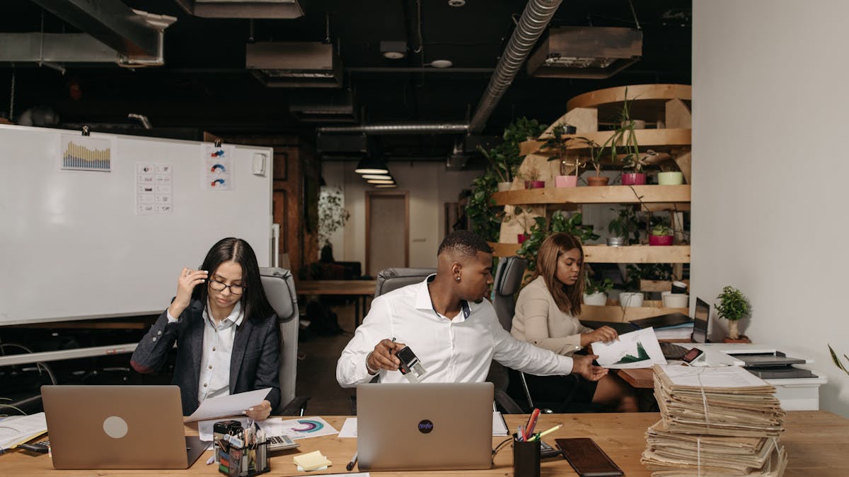top 5 agencies για local seo ελλάδα - Netculture SEO